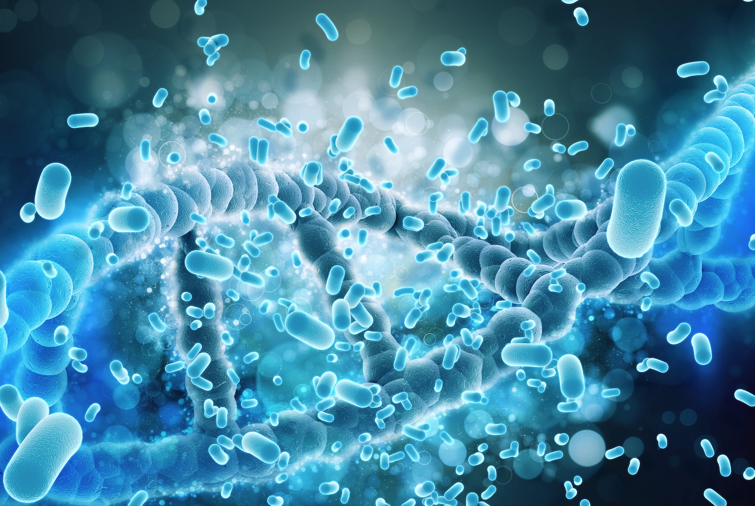 Bulaşıcı Hastalıklara İlişkin Tedbirlere Aykırı Davranma Suçu Hakkında