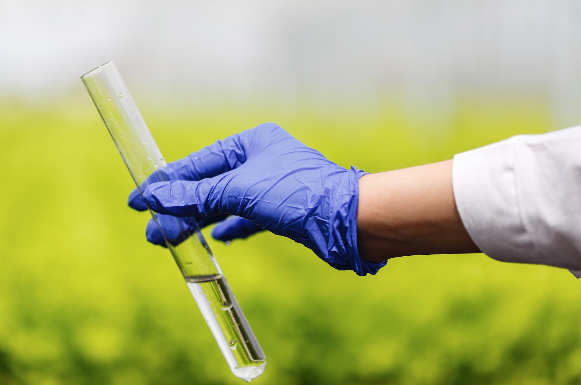 Zehirli Madde Katma Suçu Hakkında Genel Bilgiler