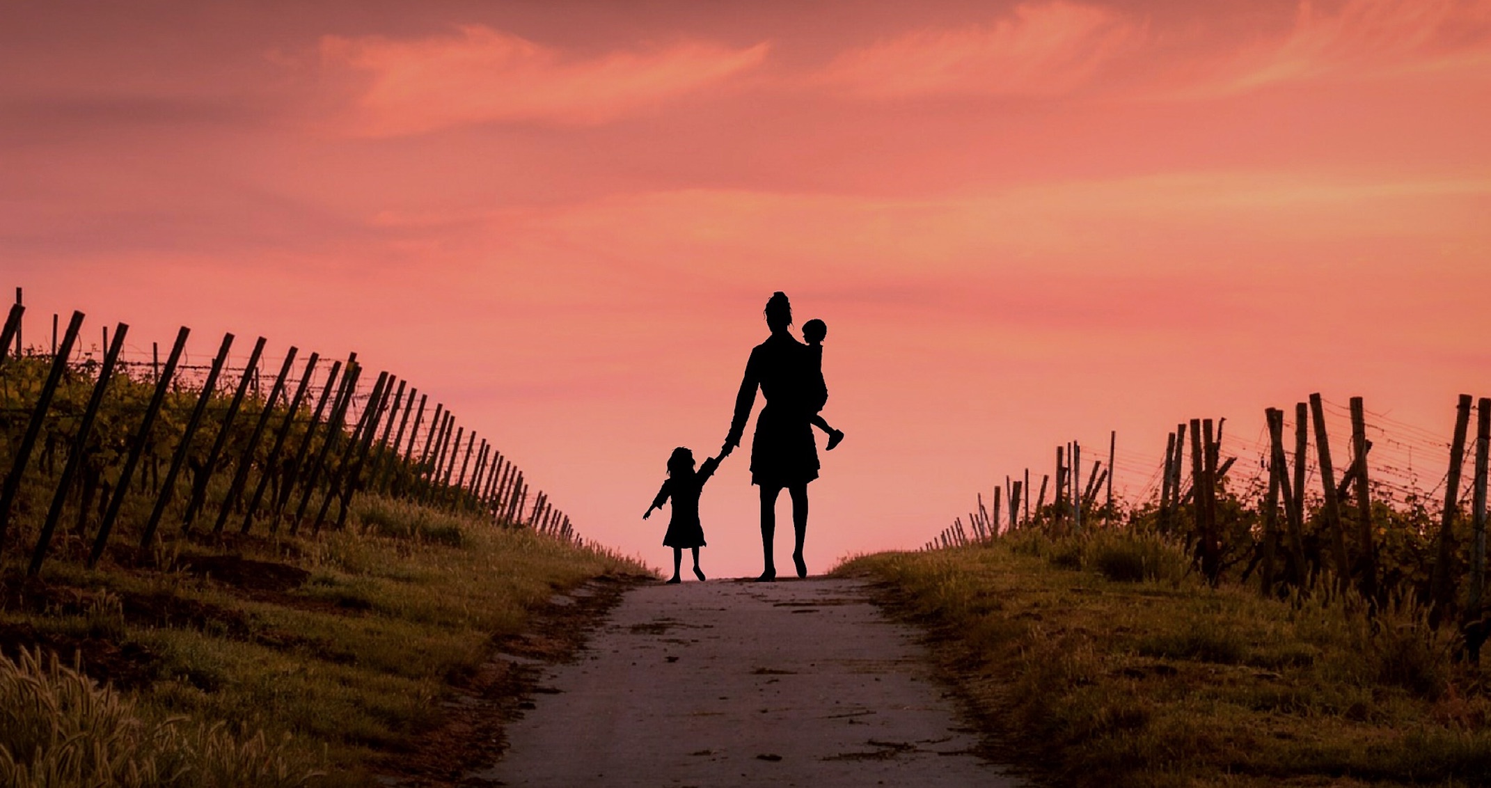 Bakırköy Boşanma Avukatı