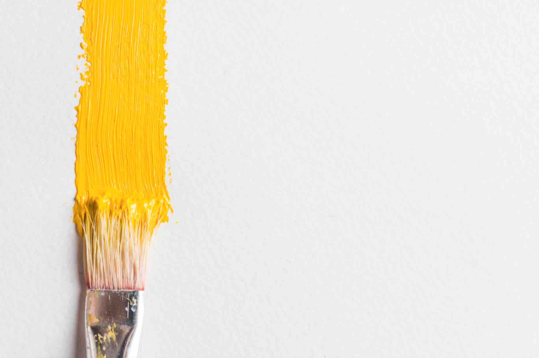 Eser Sahibinin Hakları Hakkında Genel Bilgiler