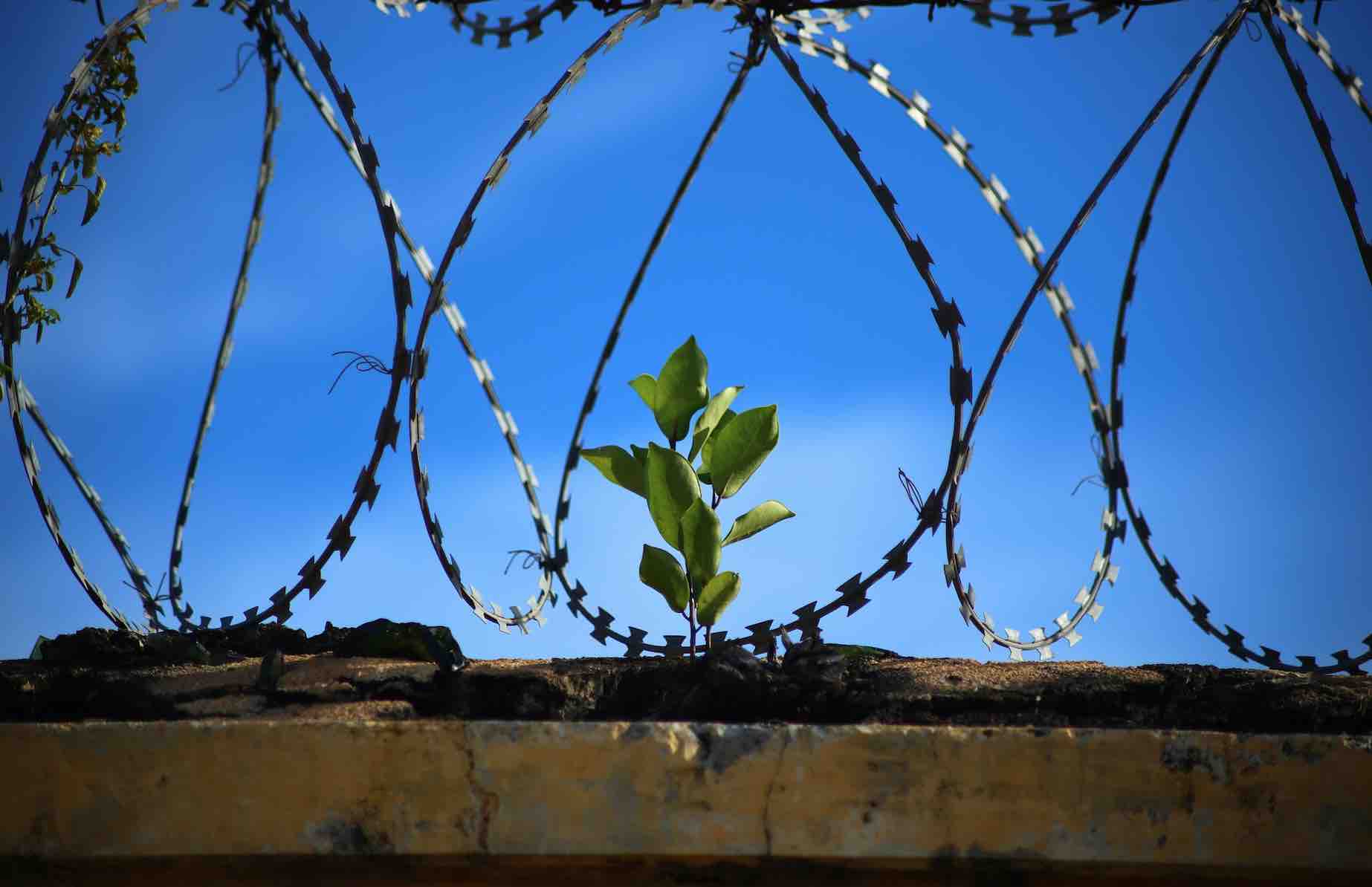 Yargıtay Cumhuriyet Başsavcısının İtirazı Olağanüstü Kanun Yolu