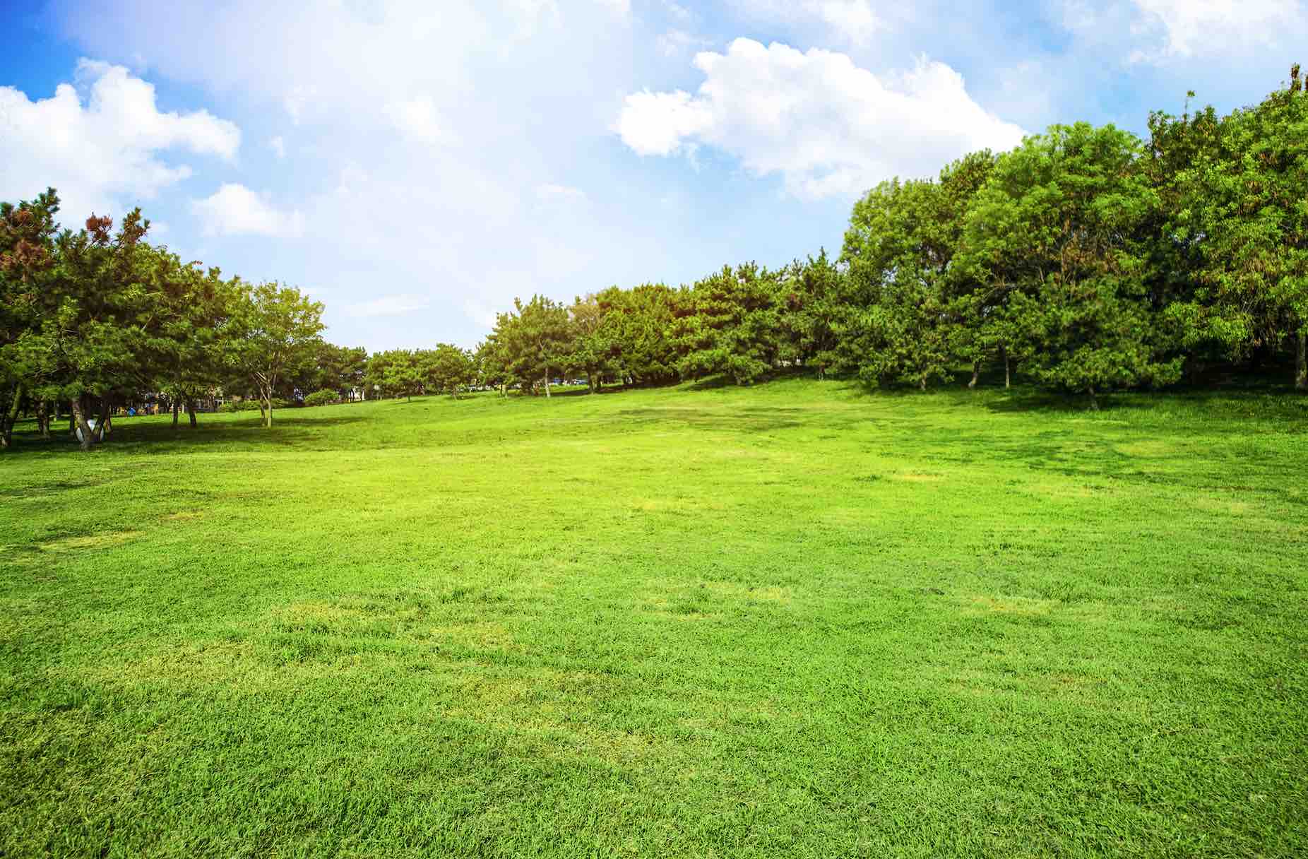 Hakkı Olmayan Yere Tecavüz Suç Duyurusu Dilekçesi