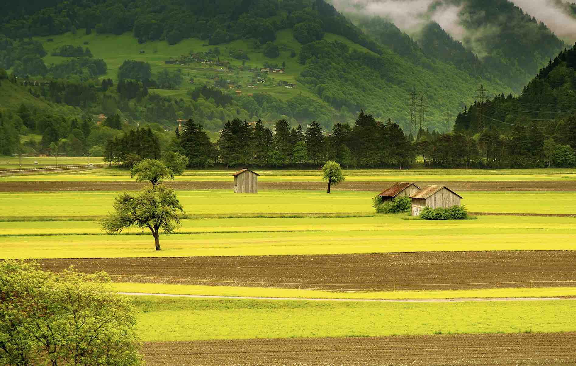 Tapu Kaydının Düzeltilmesi Davası Dilekçesi